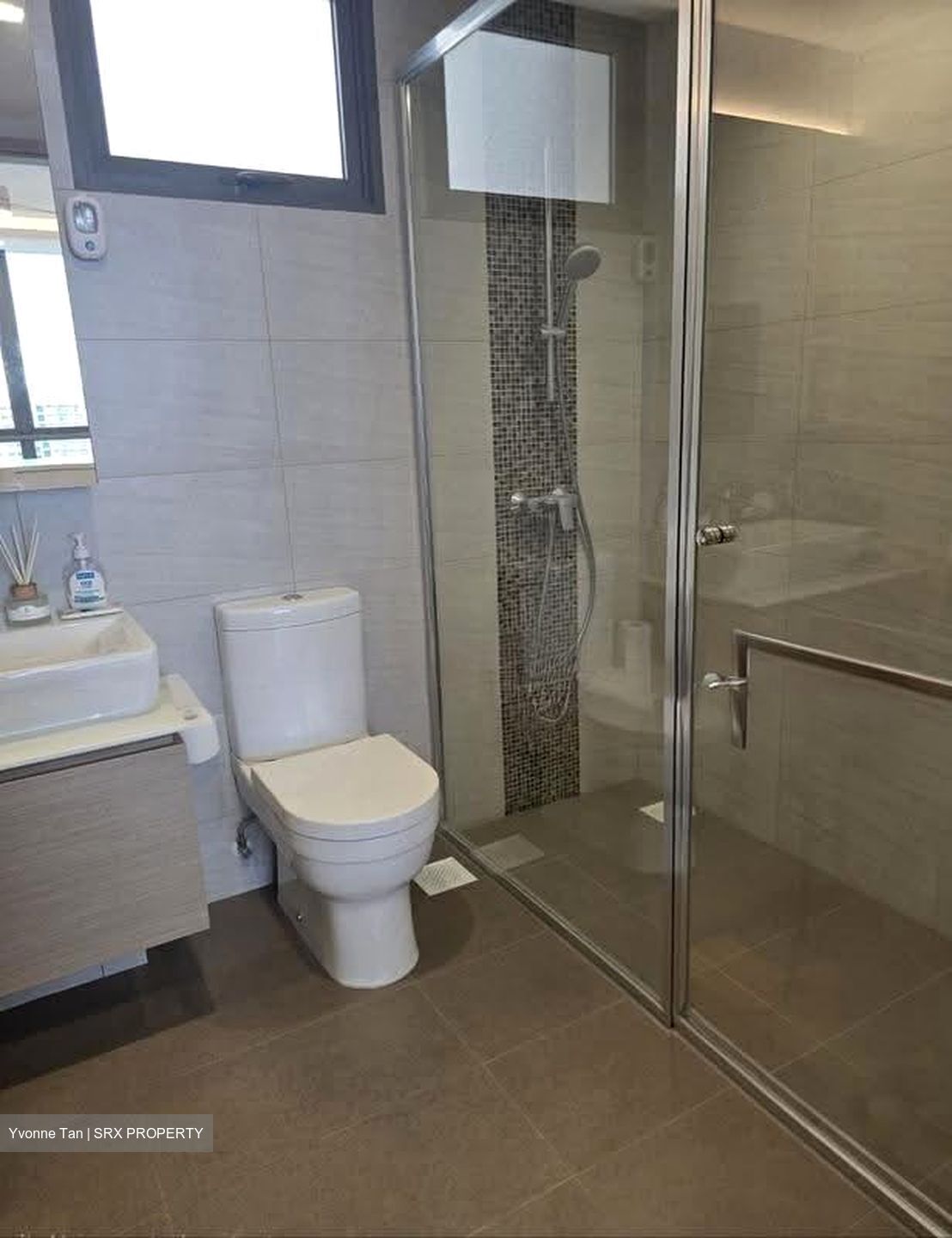 Treasure Crest (D19), Condominium #610320941